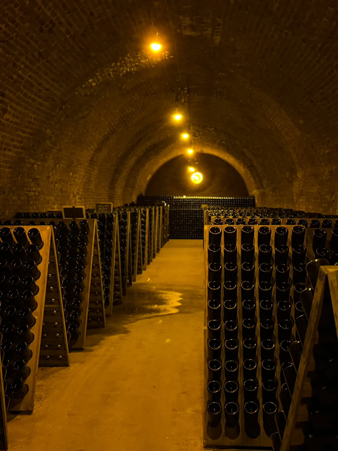 Tunel de cărămidă cu rafturi pline de sticle de șampanie